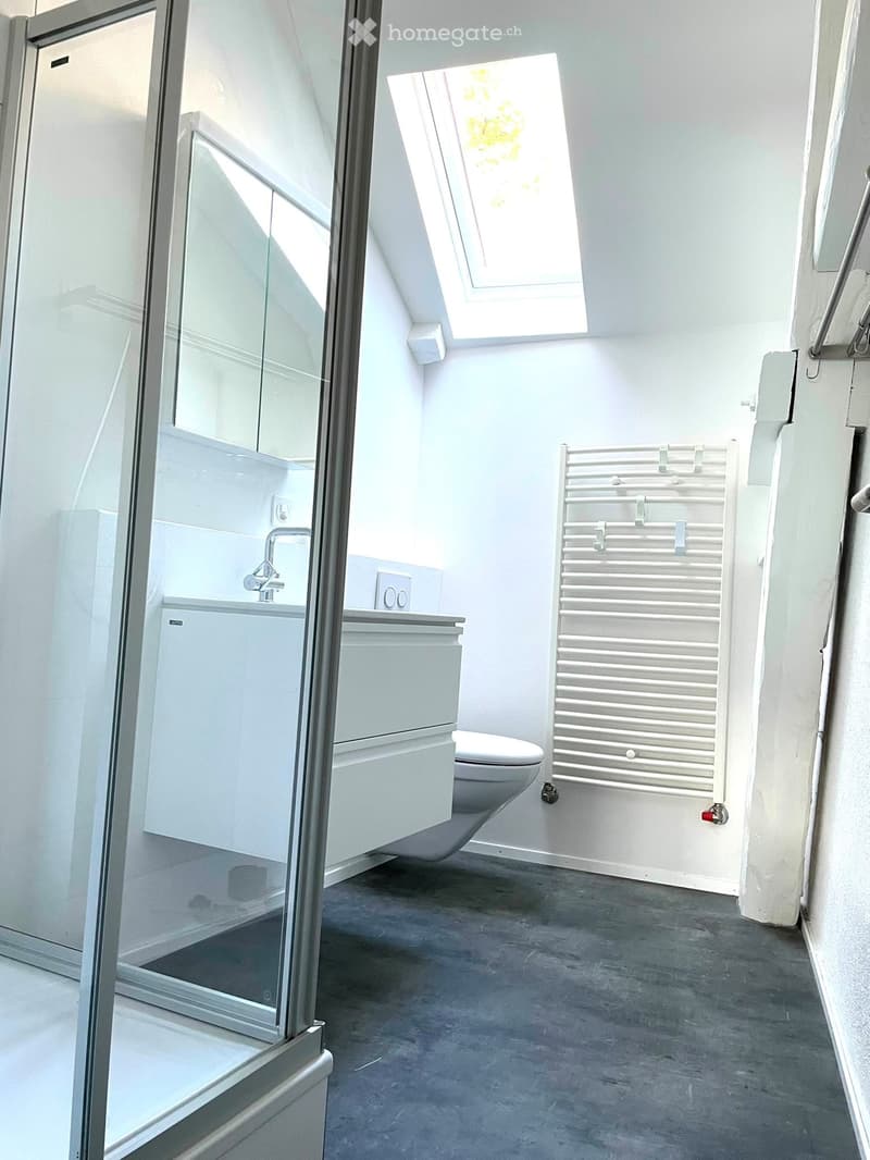 Wohnen am Bielersee! Wohnung mit Seesicht in Tüscherz (3)