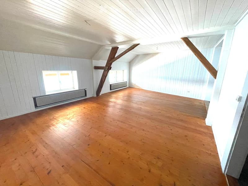 Wohnen am Bielersee! Wohnung mit Seesicht in Tüscherz (1)