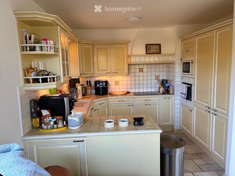 Magnifique appartement à louer (4)