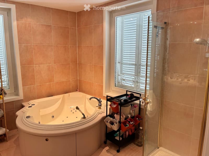 Magnifique appartement à louer (5)