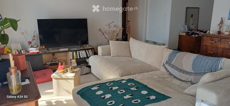 Appartement neuf à louer (1)