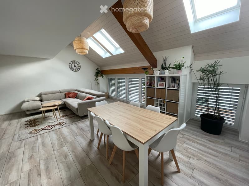Bel appartement 5.5 pièces duplex (1)