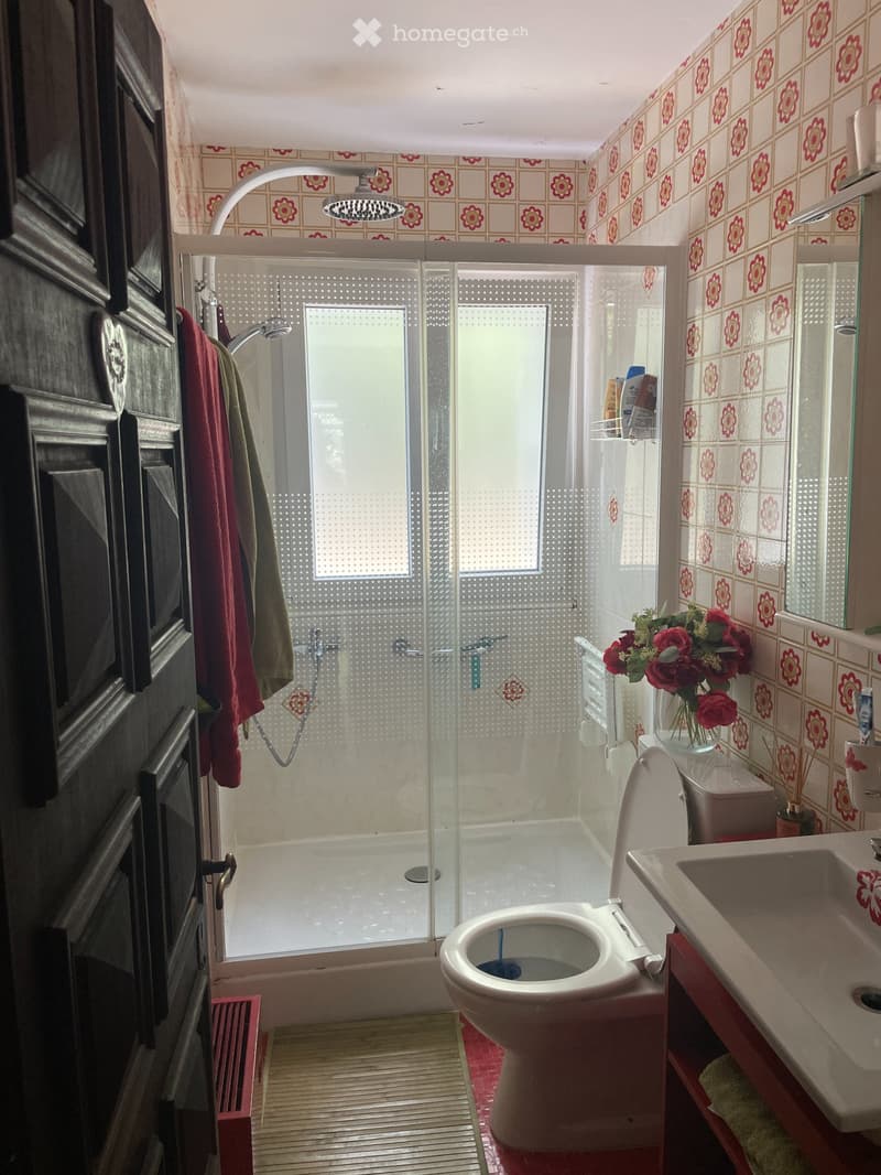 Chambre chez l'habitant (3)