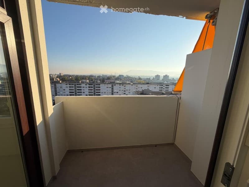 URGENT 4 pièces Petit-Lancy (2)