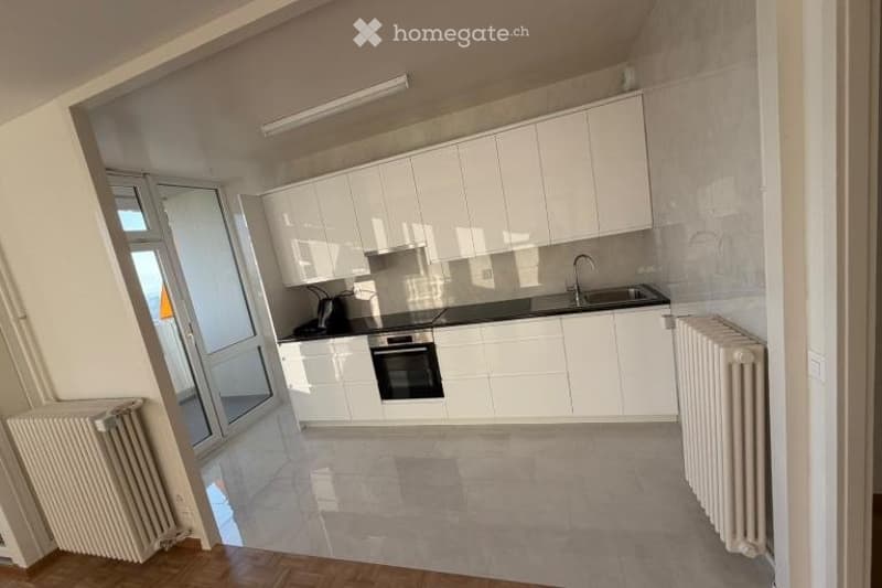 URGENT 4 pièces Petit-Lancy (3)