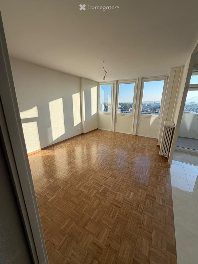 URGENT 4 pièces Petit-Lancy (1)