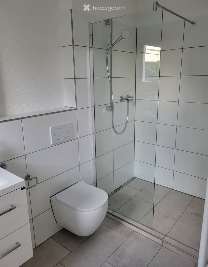 Sonnige, helle 3-Zi-Wohnung mit Balkon und Terrasse (2)