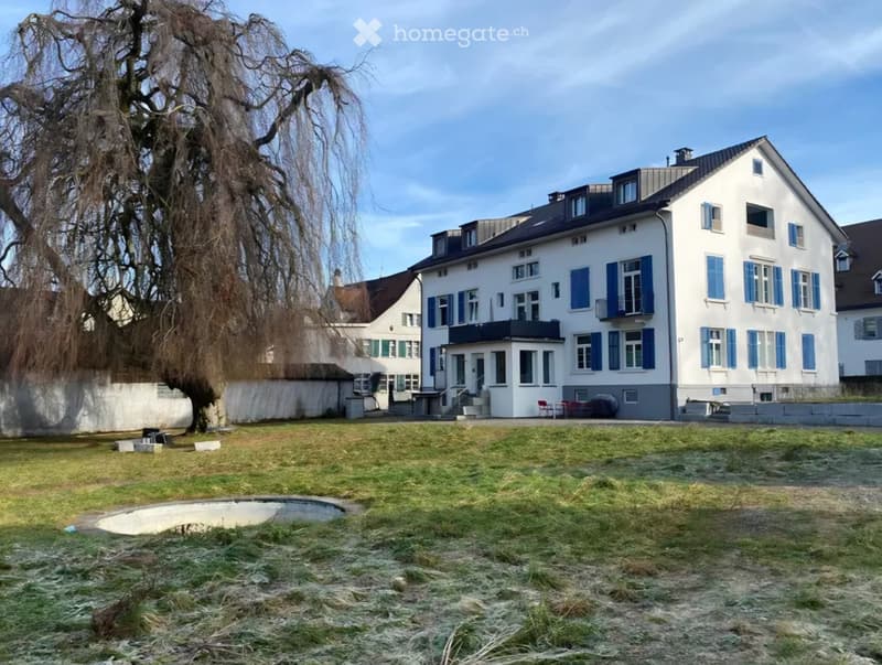 Sonnige, helle 3-Zi-Wohnung mit Balkon und Terrasse (1)