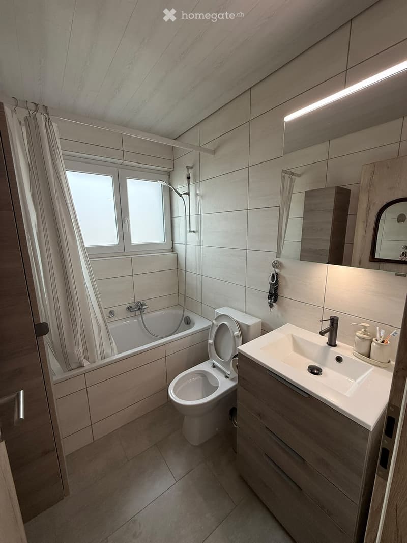 Charmant appartement entièrement rénové (5)
