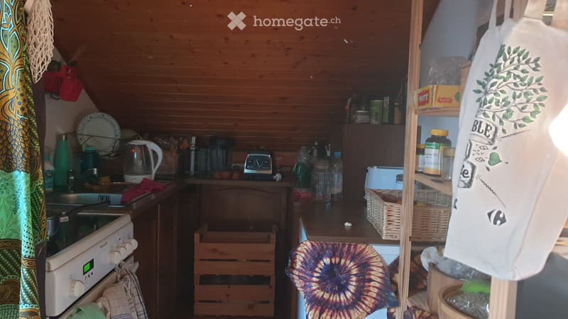 PETIT MAIS BEAU APPARTEMENT - 4 moins sous-location (2)
