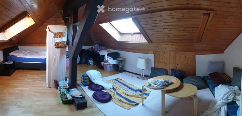 PETIT MAIS BEAU APPARTEMENT - 4 moins sous-location (3)