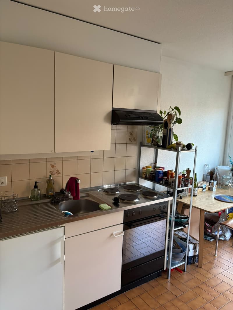 URGENT sous-location - joli 1 pièce à Renens (3)