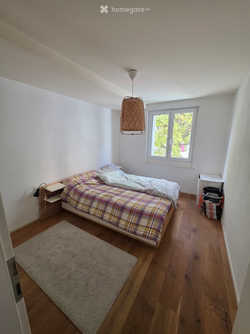 Bel appartement 3 pièces (5)