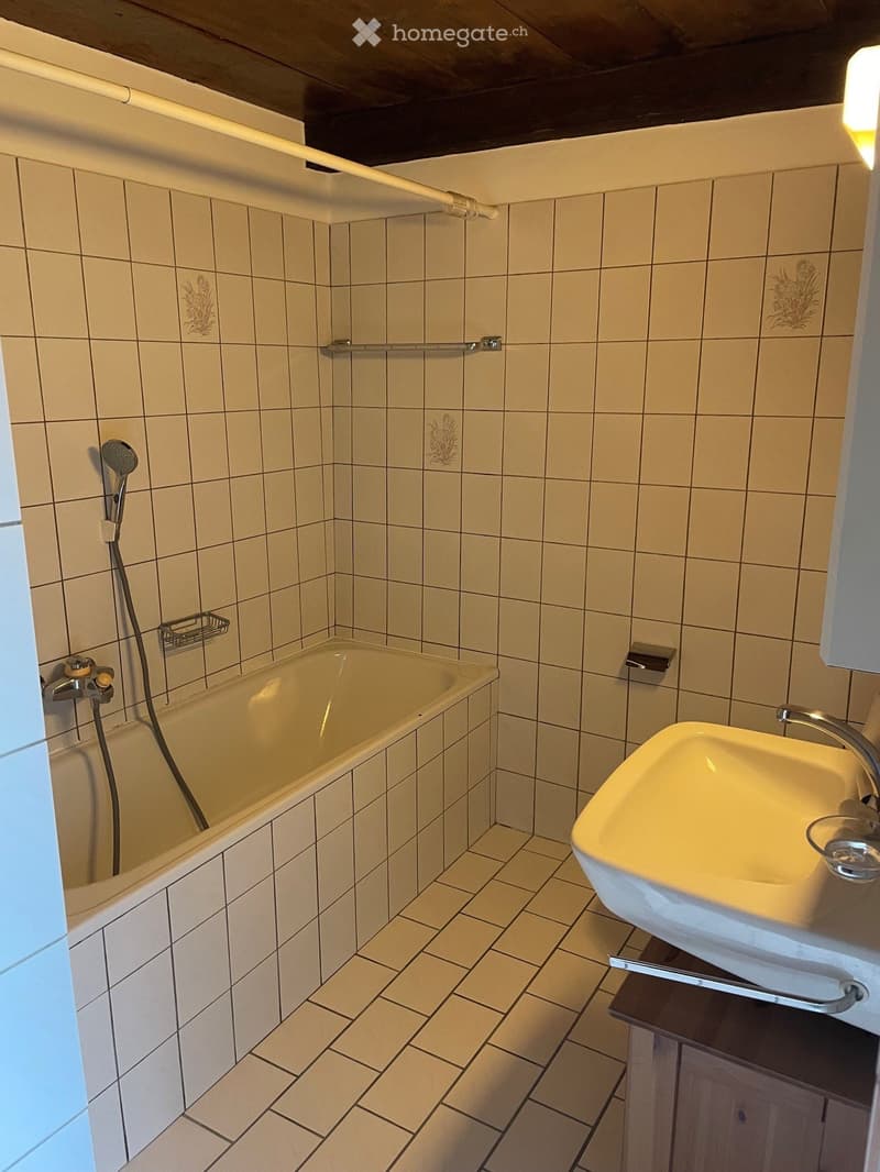 Appartement 3.5 pièces à louer à Savièse (2)