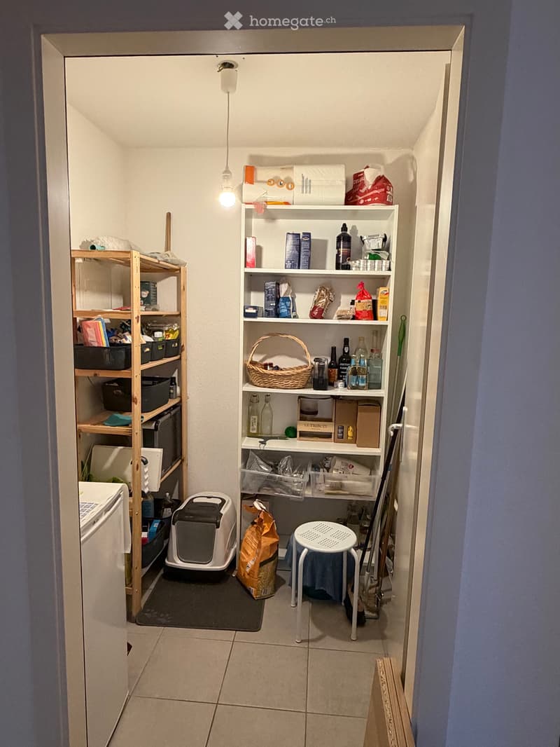 Appartement mansardé de 3,5 pièces - Yverdon-les-Bains (5)