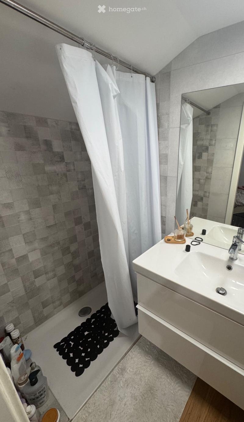 À LOUER MAGNIFIQUE APPARTEMENT DE 3,5 PIÈCES (1)