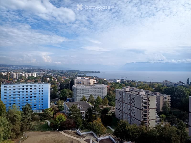 Appartement à louer à Morges (1)