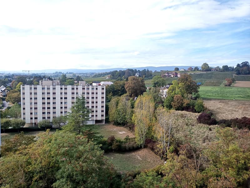 Appartement à louer à Morges (2)