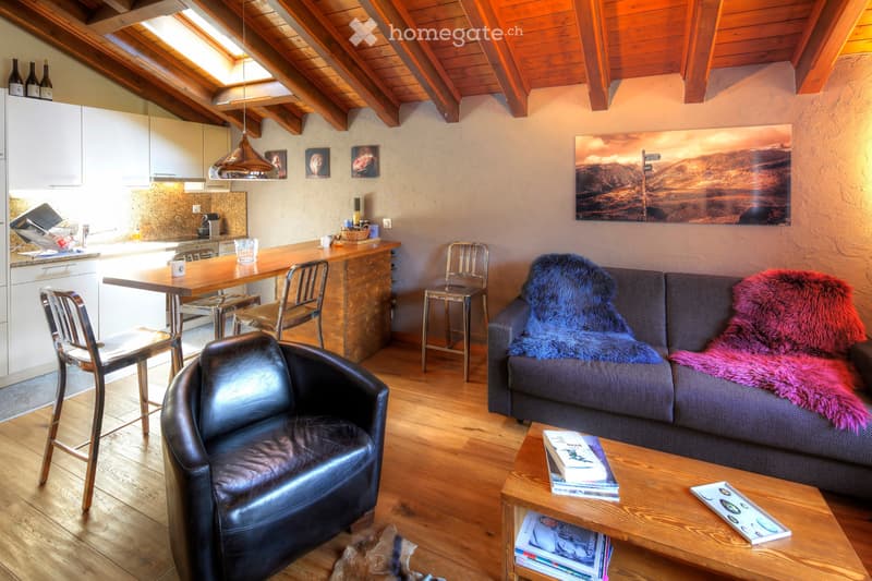 Zermatt-Location pour VACANCES uniquement - Hiver 2027 (3)