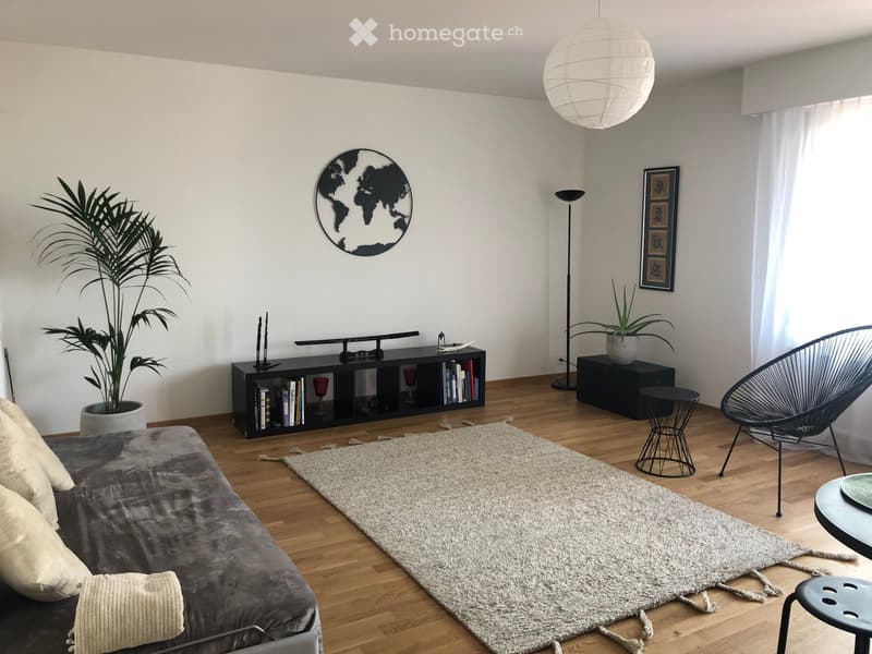 Appartement 4,5 pièces à louer (4)