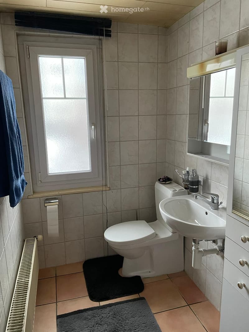 A louer appartement 3,5 pc (5)