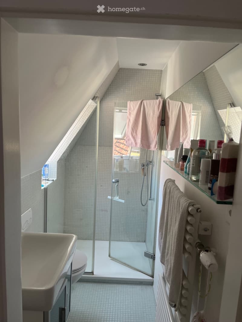 Charmante 75m2 Dachwohnung mit Terrasse im Breitenrain! (3)