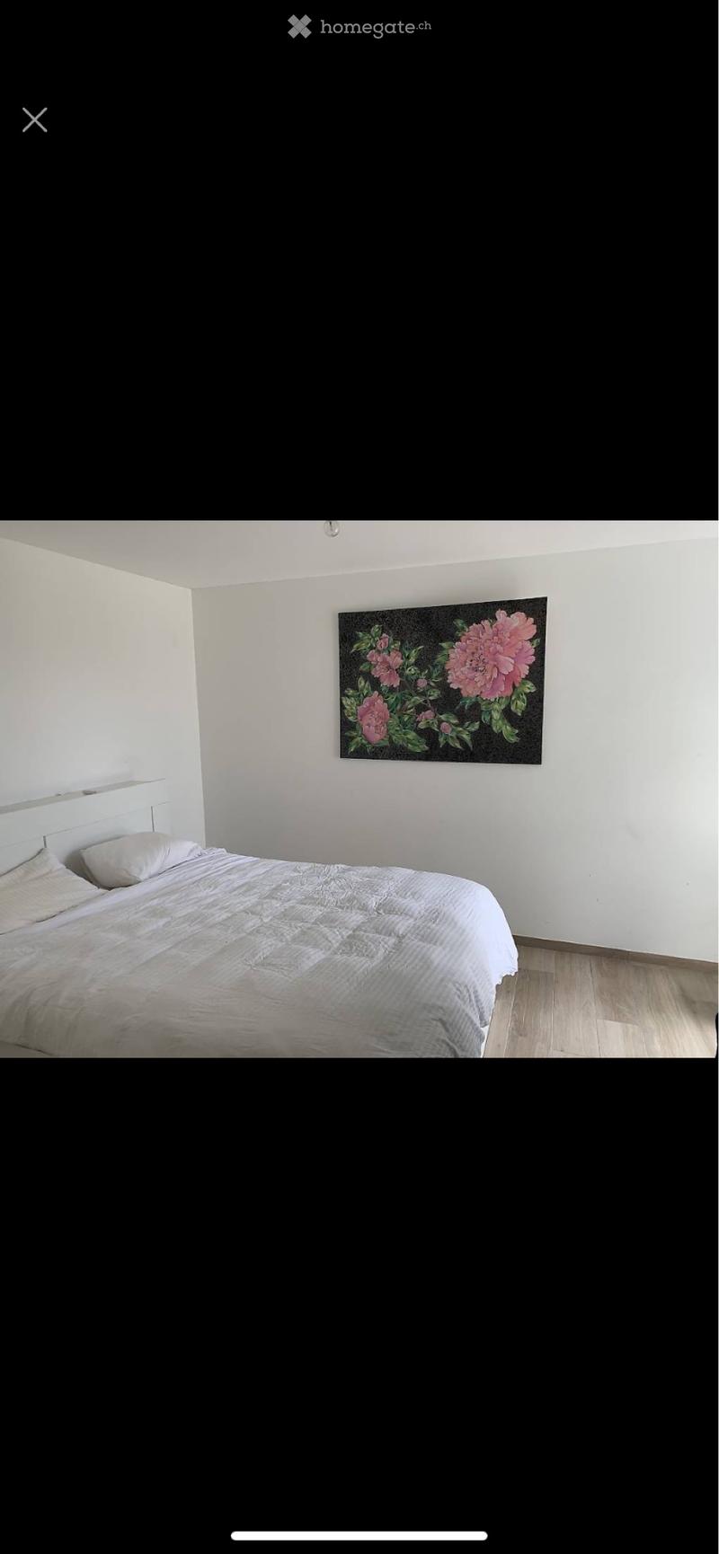 Chambre en collocation (1)