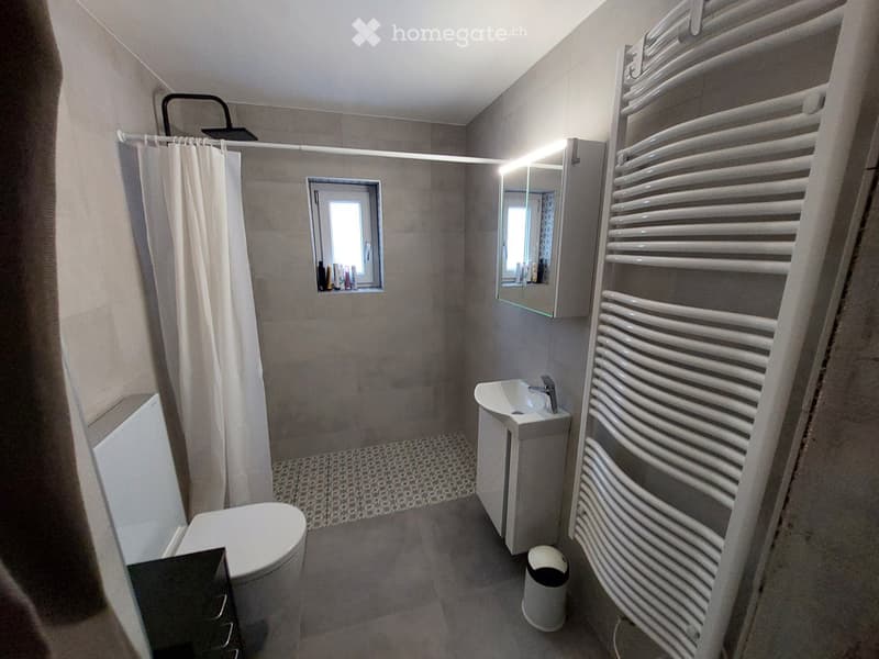 Appartement 4.5 pièces avec garage privatif et jardin commun (2)