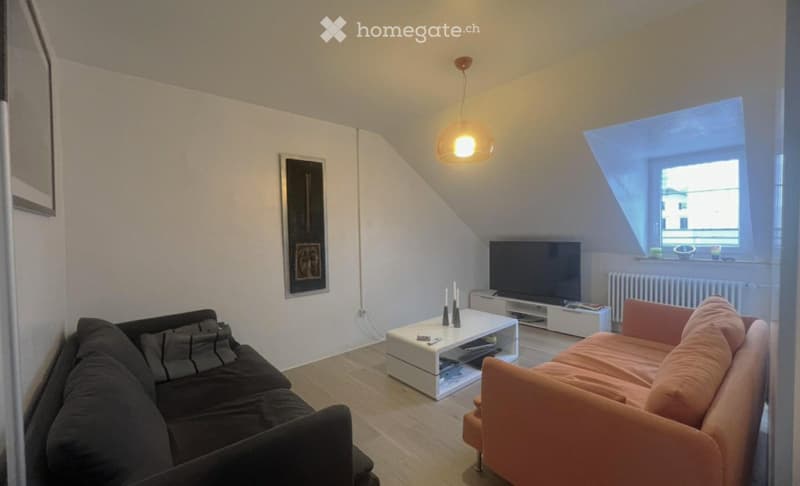 APPARTEMENT AVEC TERRASSE ET PETIT JARDIN D'HIVER (3)