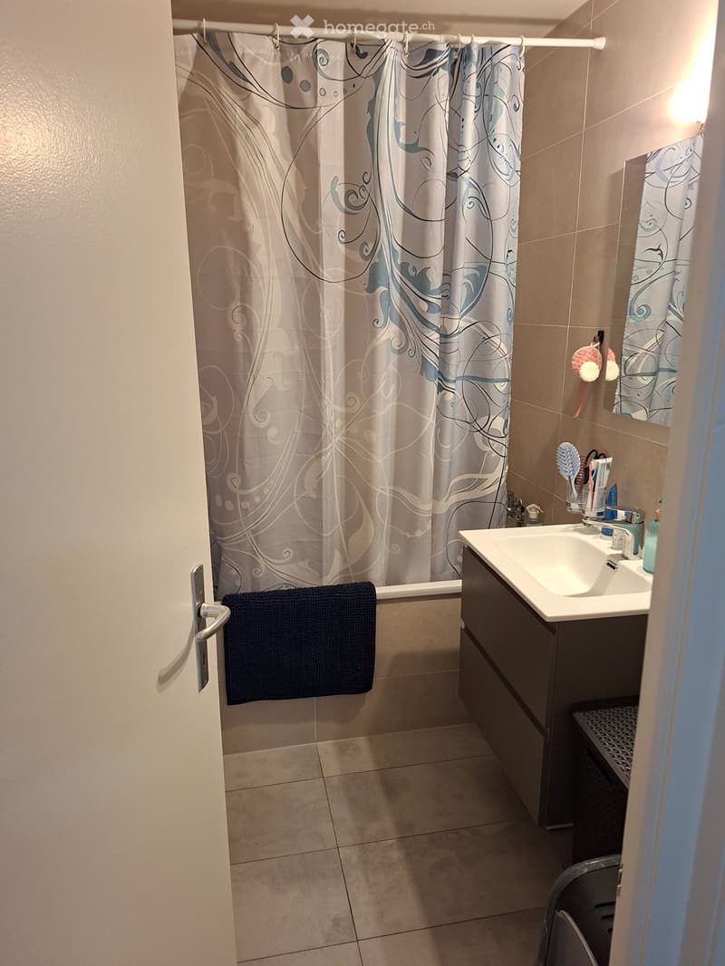 Belle appartement 3.5 pces à Villeneuve (4)