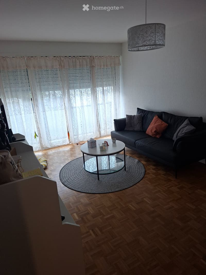 Belle appartement 3.5 pces à Villeneuve (2)