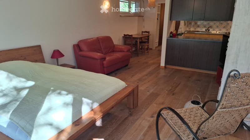 Appartement meublé à louer dans maison individuelle (2)