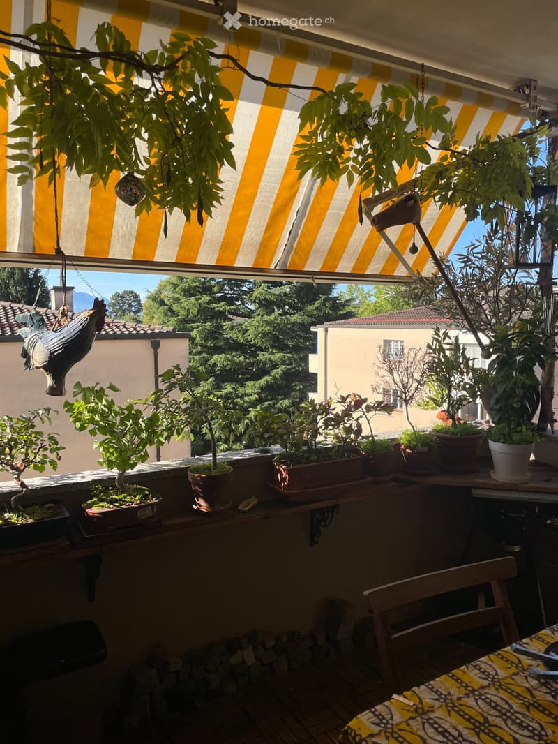 Chambre chez l'habitant (5)