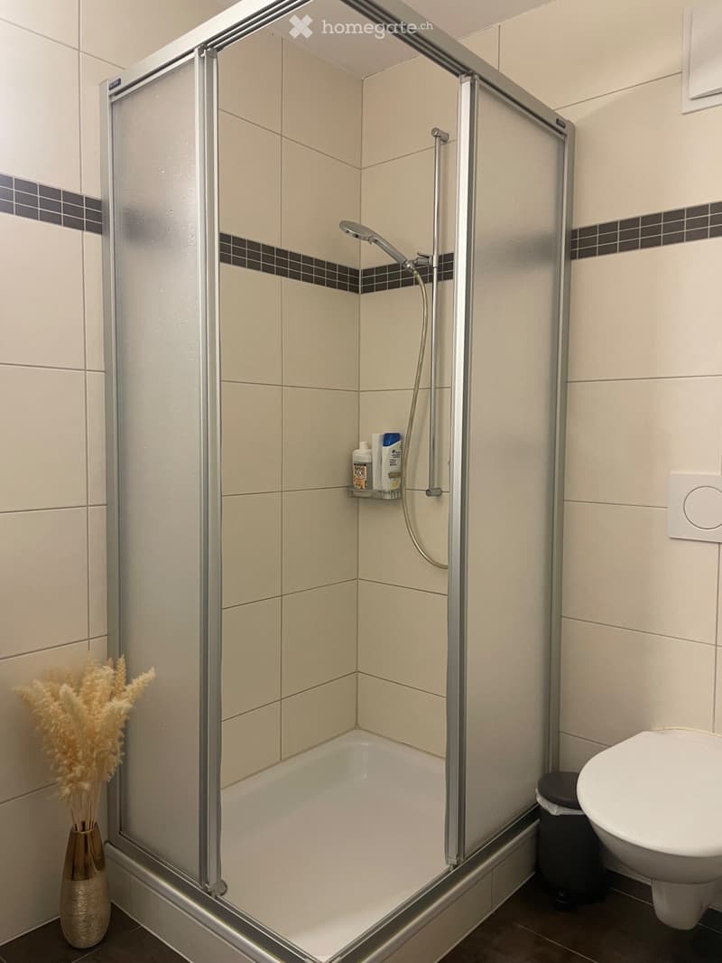Reprise de bail Lumineux 3,5 pièces de 85 m² à La Roche (3)