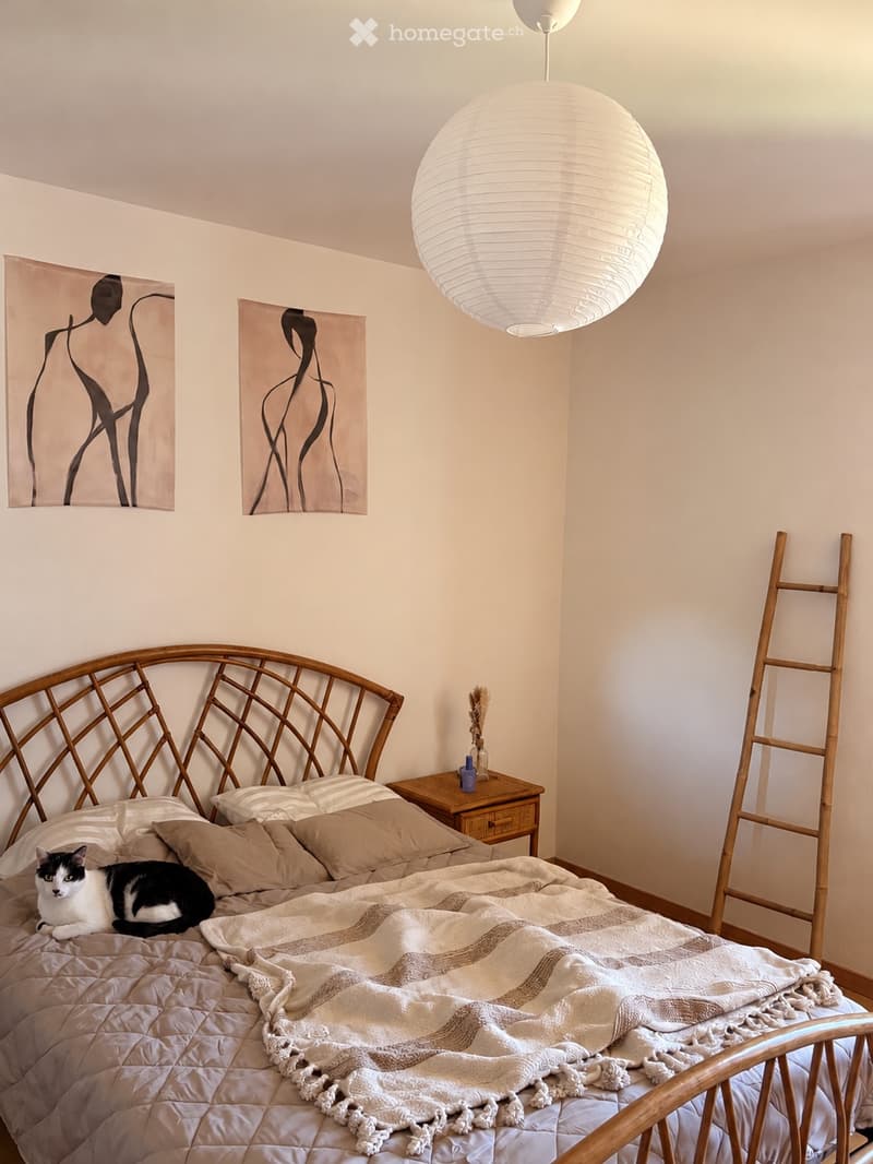 2,5 pièces avec terrasse à Fribourg (3)