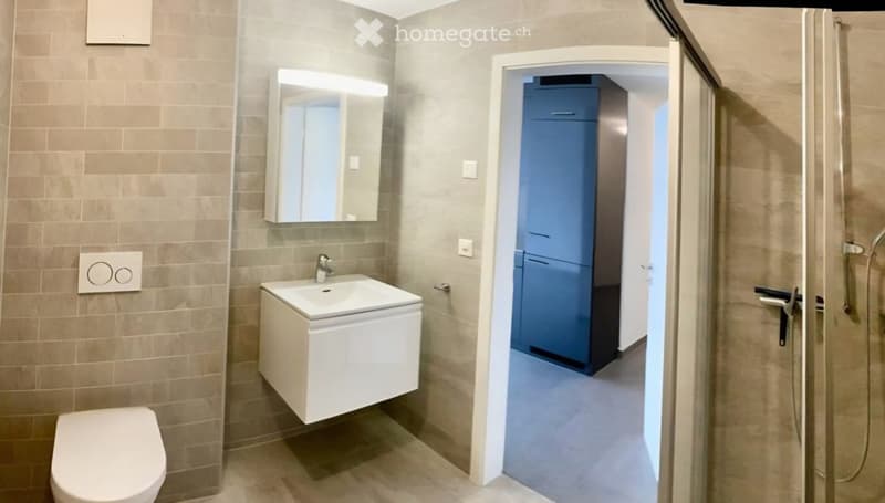 Grand studio 1.5 près avec balcon à Billens (2)