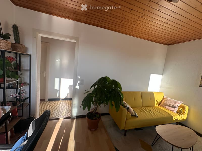 Appartement 3.5 pièces - condominium (3)