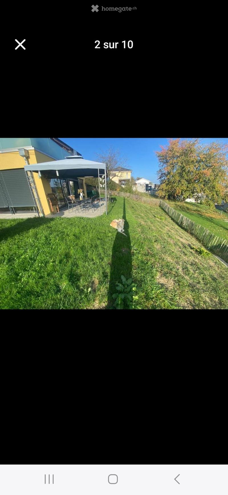 Appartement de 4.5 pièces avec grand jardin (4)