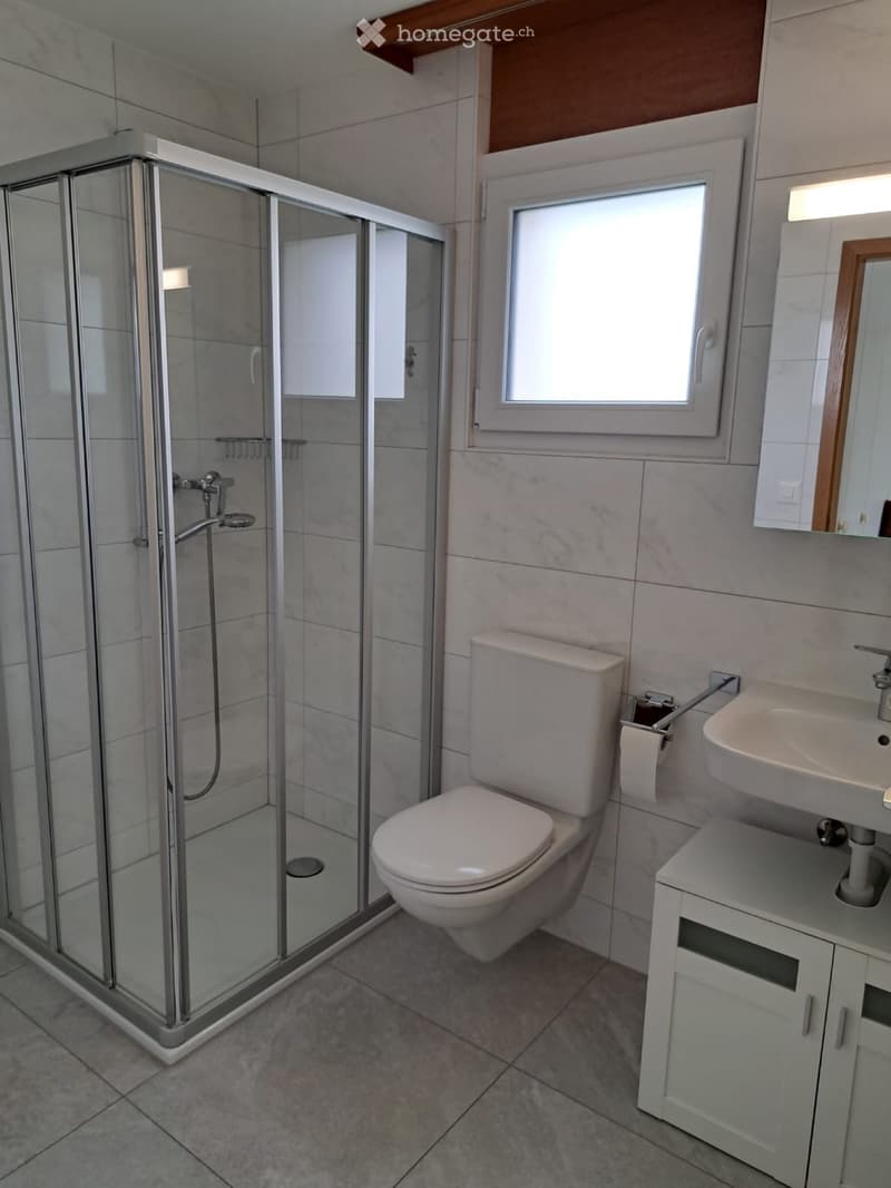 Appartement 1,5 p (5)