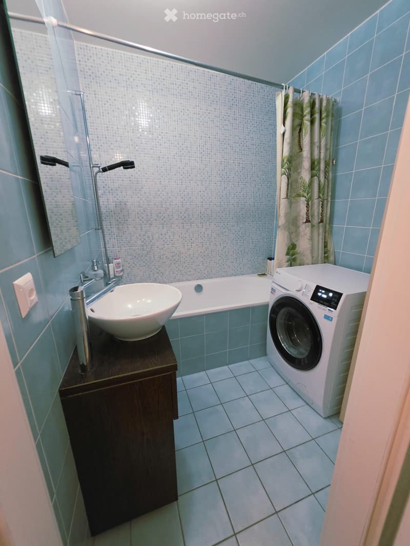 SUPERBE APPARTEMENT 4 PIÈCES MEUBLÉ VERSOIX (6)