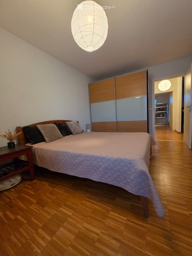 SUPERBE APPARTEMENT 4 PIÈCES MEUBLÉ VERSOIX (3)