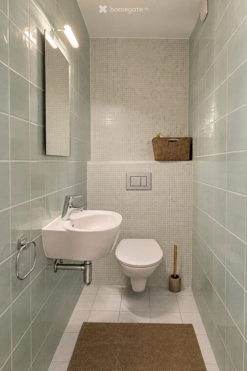 SUPERBE APPARTEMENT 4 PIÈCES MEUBLÉ VERSOIX (7)