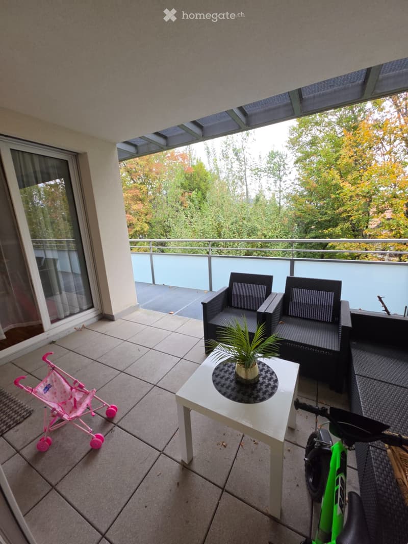 SUPERBE APPARTEMENT 4 PIÈCES MEUBLÉ VERSOIX (8)