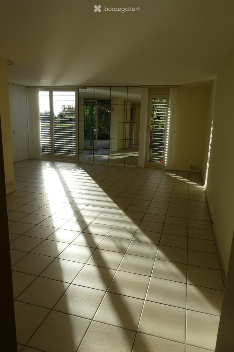 Magnifique 4,5 pièces avec terrasse, jardin et grand dépôt (2)