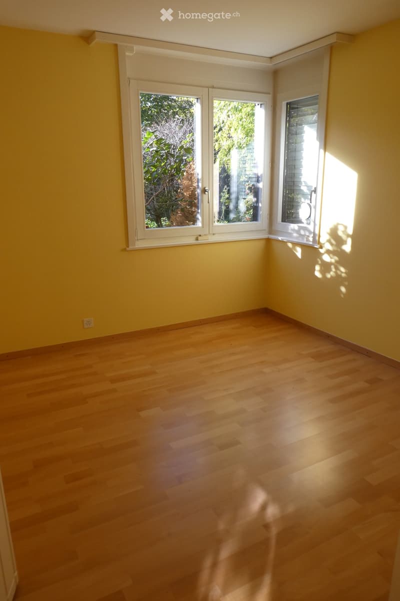 Magnifique 4,5 pièces avec terrasse, jardin et grand dépôt (4)