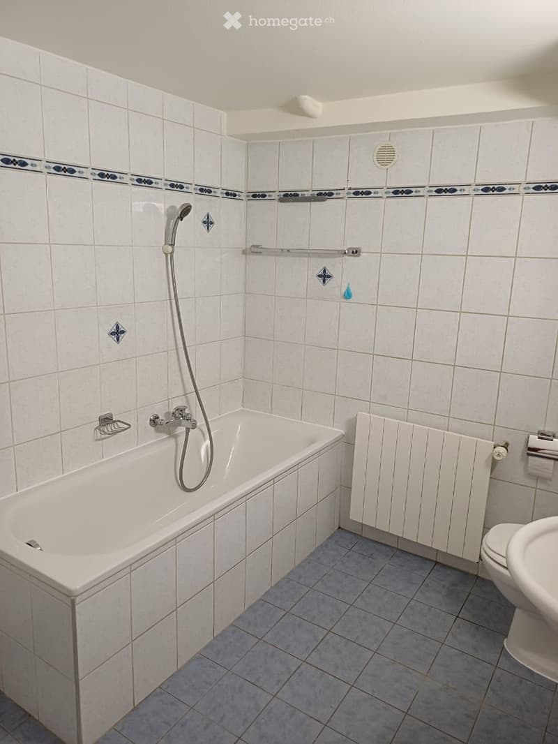 A louer appartement 3,5 pces (2)