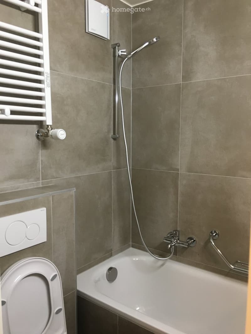 Studio rénové à louer à Clarens (3)