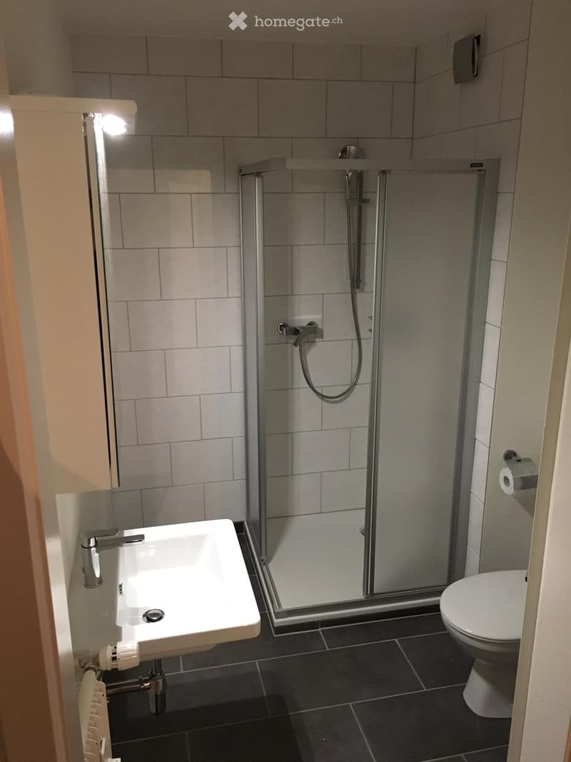 Appartement centre ville de Sierre (2)