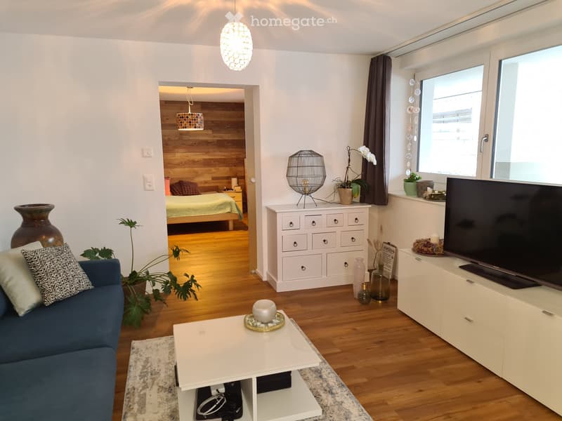 Langnau: Gemütlche ,moderne Single Wohnung (2)