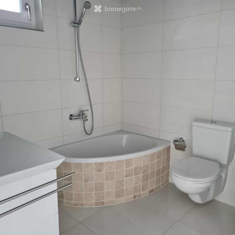 Langnau: Gemütlche ,moderne Single Wohnung (3)